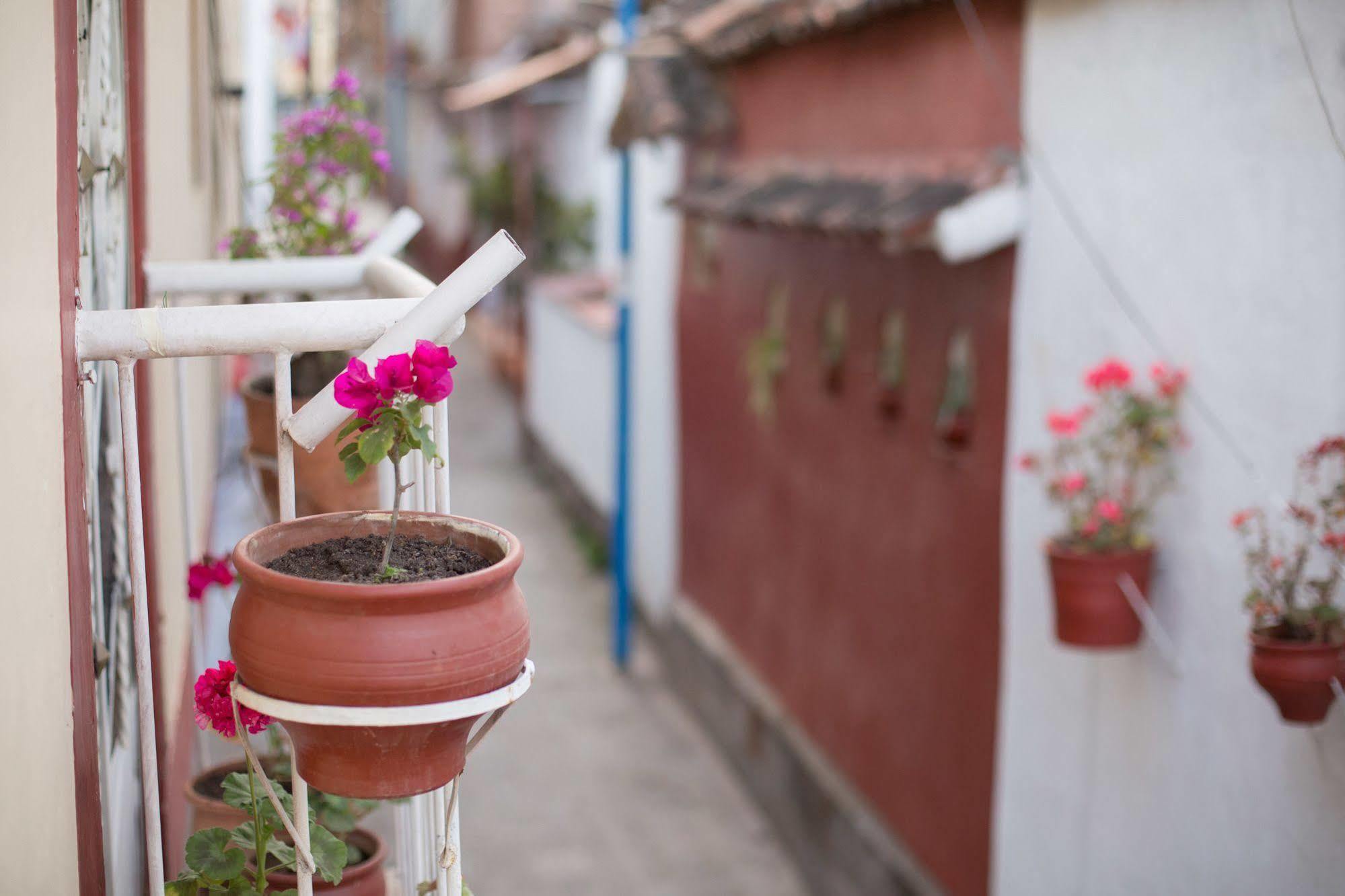 Los Aticos B&B With Coworking Cuzco Exterior photo
